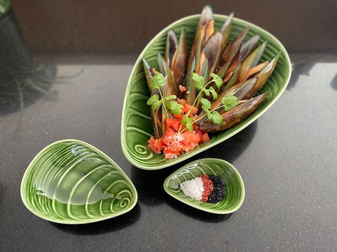 Mussel Shell Bowl