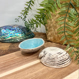 McGlashen Pottery Paua Shell Dipping Bowl