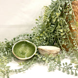McGlashen Pottery Cockle Dipping Bowl