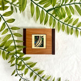 Ian Blackwell Chatterbox - Small