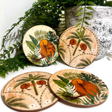Kiwi Tropic Coasters 4 Pack
