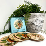 Kiwi Tropic Coasters 4 Pack