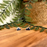 Ataahua Silver Mountains Blue Details Stud Earrings
