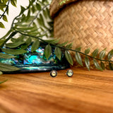 Ataahua Round Paua Stud Earrings