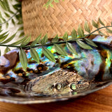 Ataahua Round Paua Stud Earrings