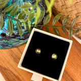 Ataahua Round Paua Stud Earrings