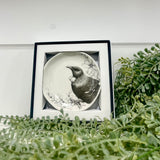 Katy Hayward Trinket Dish - Home Is Here - Tui