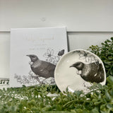 Katy Hayward Trinket Dish - Home Is Here - Tui