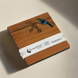 PAUA AND RIMU COASTERS - SINGLES