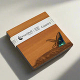 PAUA AND RIMU COASTERS - SINGLES