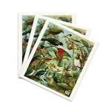 Swedish Dishcloths - NZ Native Birds Set Of 3