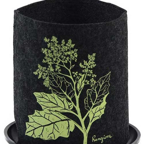 Eco Felt Grow Bag - Jo Luping Design