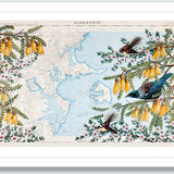 Warkworth Kowhai