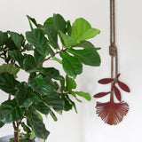 Corten Hanging Pohutukawa